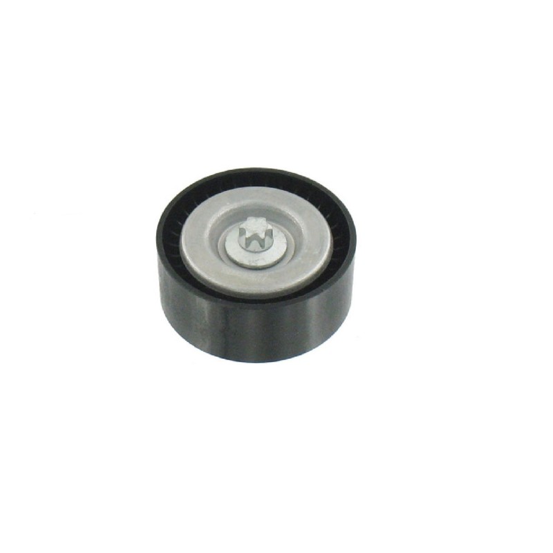 Guide pulley Mercedes-Benz A0002021719