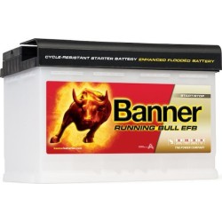Banner Running Bull EFB 575 11 (L3)