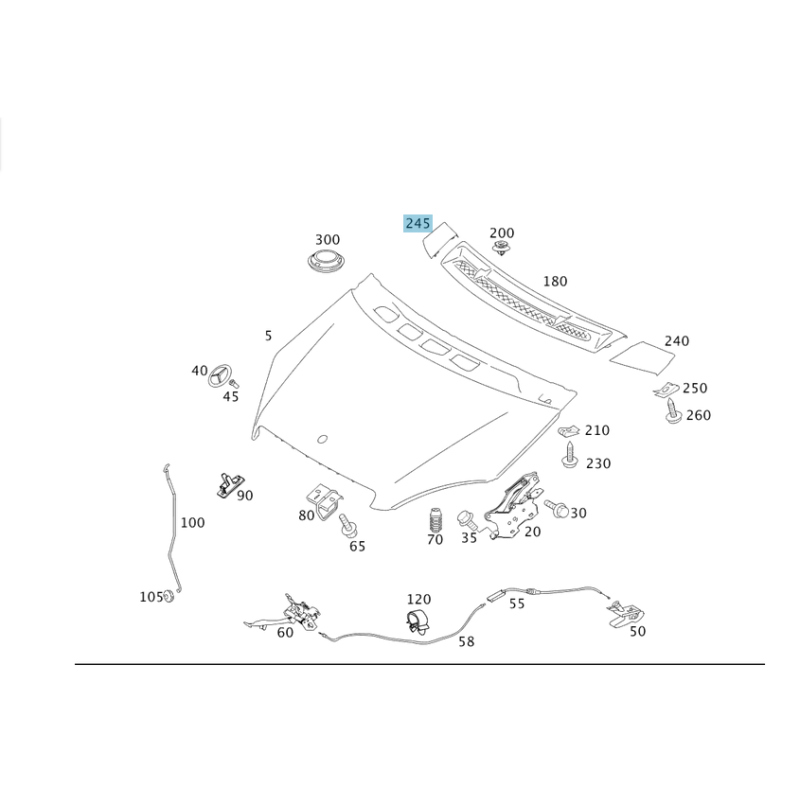 Κάλυμμα Αποστράγγισης Νερού Δεξί Mercedes W169 A1698300075